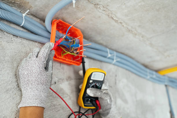 Best Generator Installation Services  in Lake Mills, WI